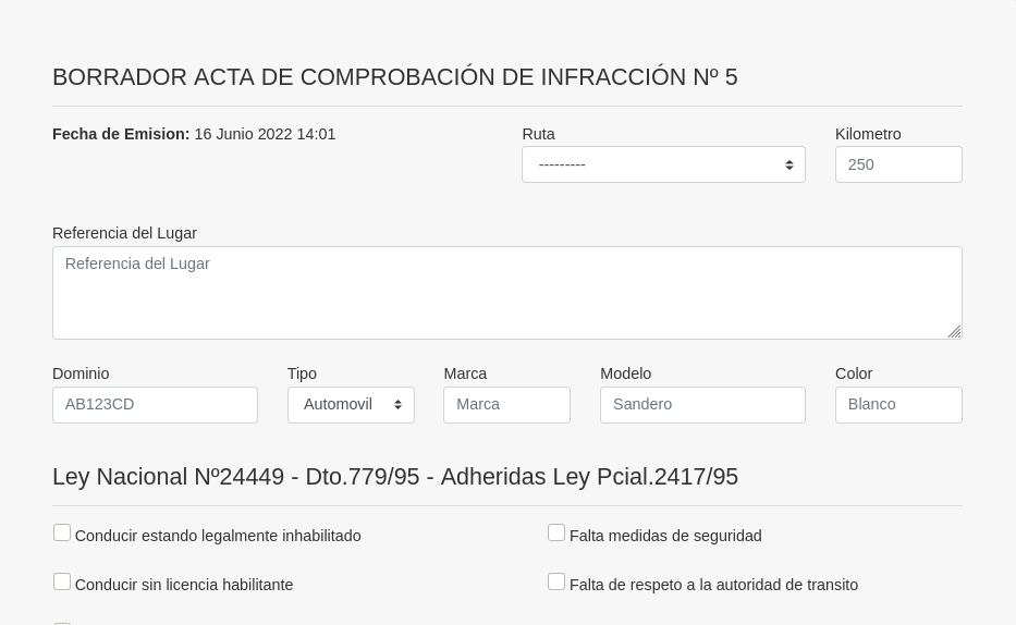 [Pantalla Acta Borrador]