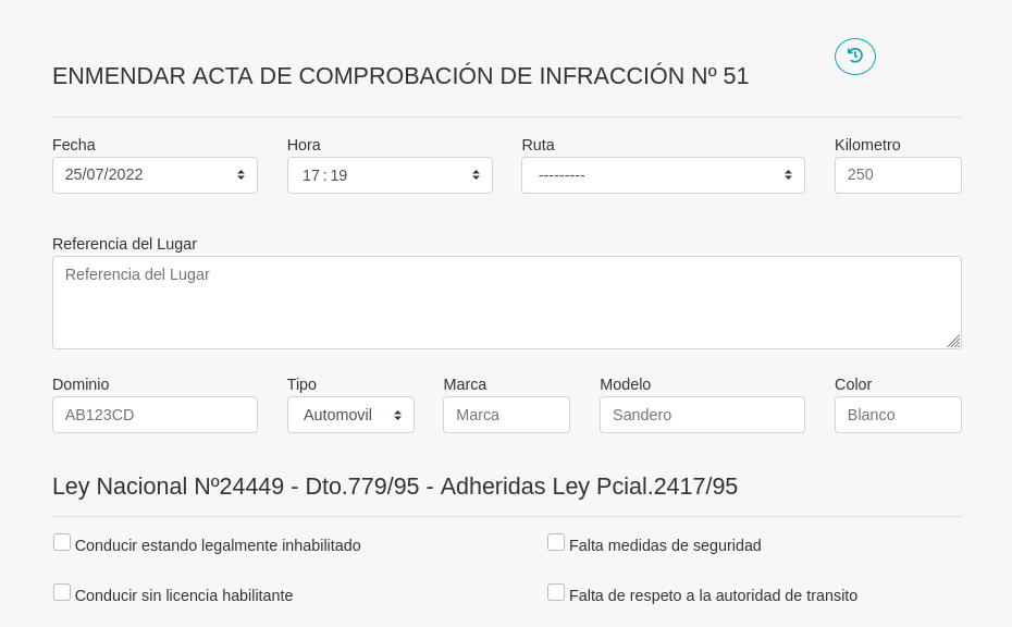 [Pantalla Acta a Corregir]